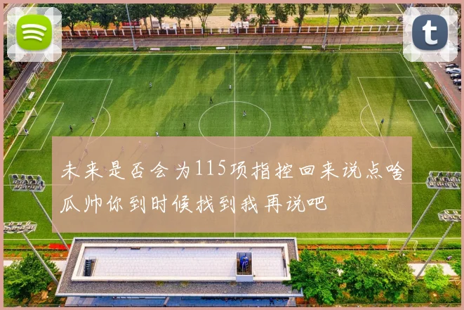 未来是否会为115项指控回来说点啥瓜帅你到时候找到我再说吧